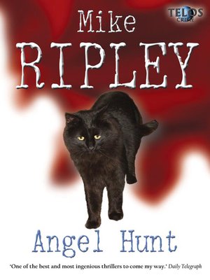 cover image of Angel Hunt